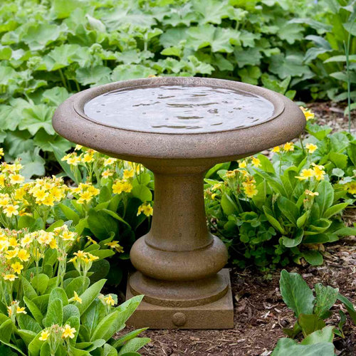 Black Bird Baths You'll Love Wayfair